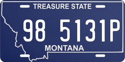 MT license plate 985131P