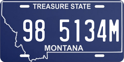 MT license plate 985134M