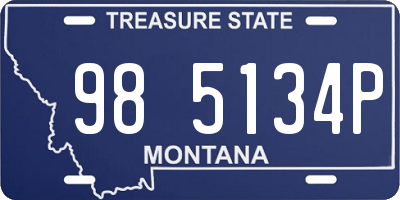 MT license plate 985134P