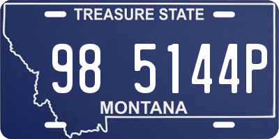 MT license plate 985144P