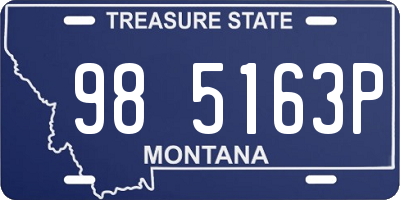 MT license plate 985163P