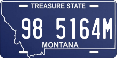 MT license plate 985164M