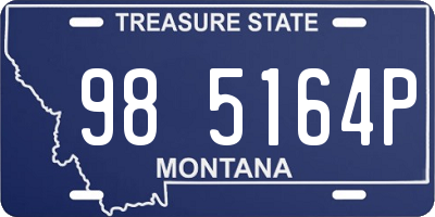 MT license plate 985164P