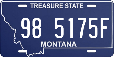 MT license plate 985175F