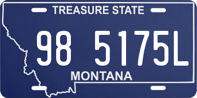 MT license plate 985175L