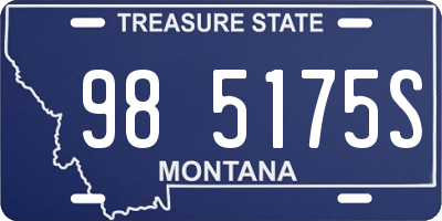 MT license plate 985175S