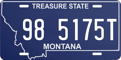 MT license plate 985175T