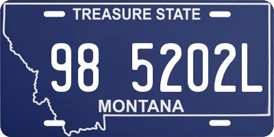 MT license plate 985202L