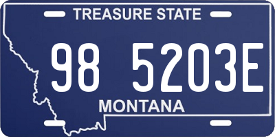 MT license plate 985203E