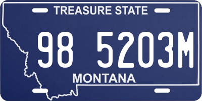 MT license plate 985203M