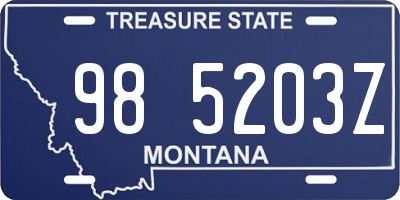 MT license plate 985203Z