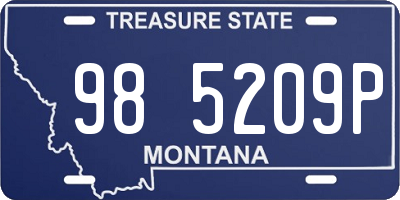MT license plate 985209P
