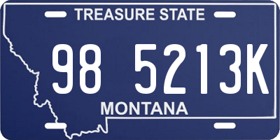 MT license plate 985213K