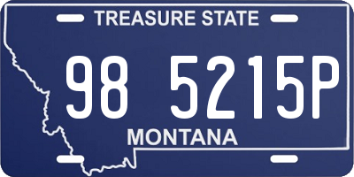MT license plate 985215P