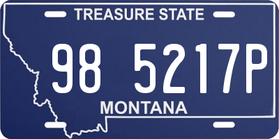 MT license plate 985217P