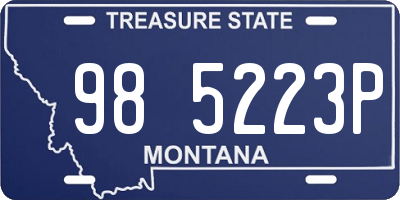 MT license plate 985223P