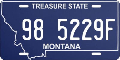 MT license plate 985229F