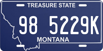MT license plate 985229K