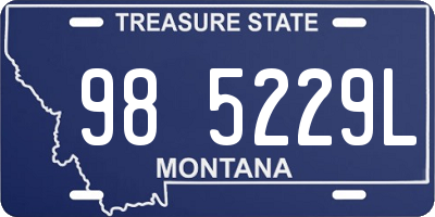 MT license plate 985229L