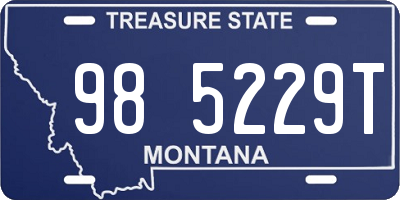 MT license plate 985229T