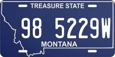 MT license plate 985229W