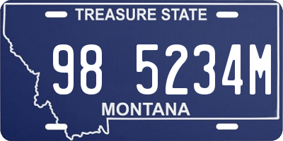 MT license plate 985234M