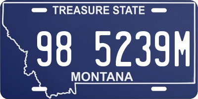 MT license plate 985239M