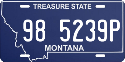 MT license plate 985239P