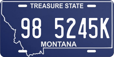 MT license plate 985245K