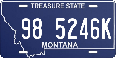 MT license plate 985246K