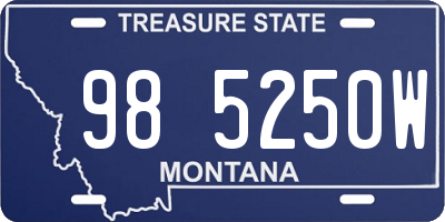 MT license plate 985250W