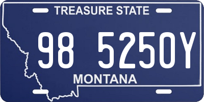 MT license plate 985250Y