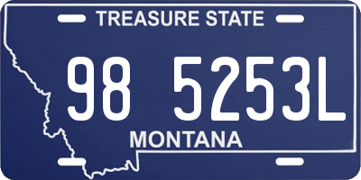 MT license plate 985253L