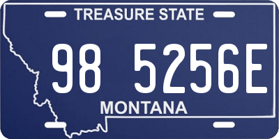 MT license plate 985256E