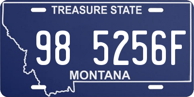 MT license plate 985256F