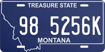 MT license plate 985256K