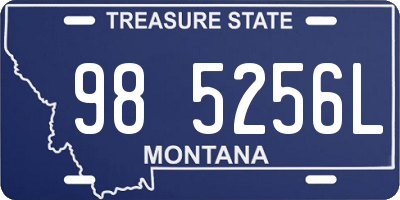 MT license plate 985256L
