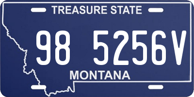 MT license plate 985256V