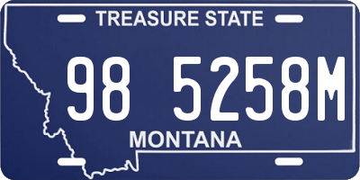 MT license plate 985258M