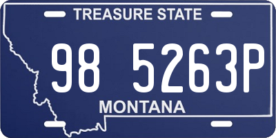 MT license plate 985263P