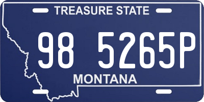MT license plate 985265P
