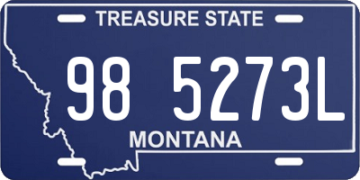 MT license plate 985273L