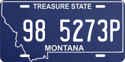 MT license plate 985273P