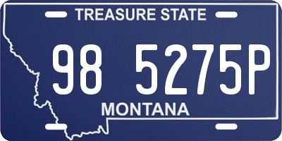 MT license plate 985275P
