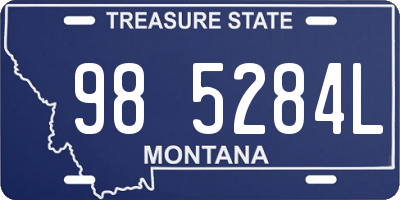 MT license plate 985284L