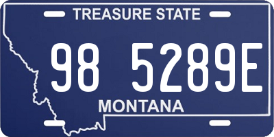 MT license plate 985289E