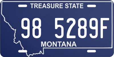 MT license plate 985289F