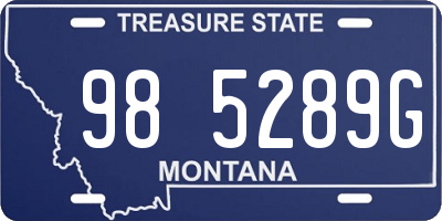 MT license plate 985289G