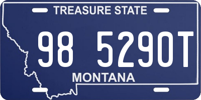 MT license plate 985290T
