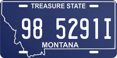 MT license plate 985291I